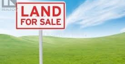 289 North River Road, North River A0A3G0, Newfoundland & Labrador