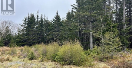 0 Strayaway Road, Blaketown A0B1C0, Newfoundland & Labrador