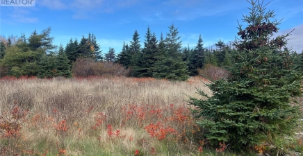 17-25 Bay Ridge Road, Ferryland A0A2H0, Newfoundland & Labrador