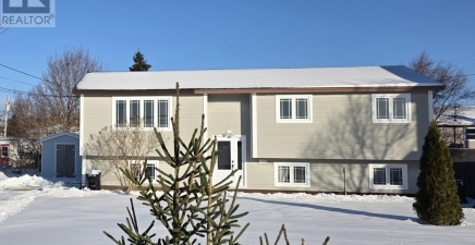 43 Meadowbrook Drive, St. John`s A1S1C2, Newfoundland & Labrador