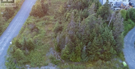 638 Indian Meal Line, Portugal Cove - St. Philips A1M3E7, Newfoundland & Labrador