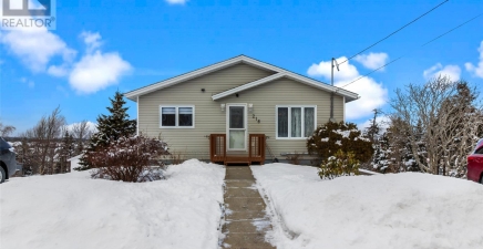 218 Airport Heights Drive, St. John`s A1A4X2, Newfoundland & Labrador