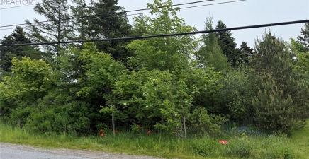 49 Back Road, Upper Island Cove A0A4E0, Newfoundland & Labrador