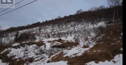 Lot 3 OLD MADDOX COVE Road, Petty Harbour - Maddox Cove A0A3H0, Newfoundland & Labrador