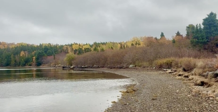 147 Bayside Drive, Lethbridge A0C1V0, Newfoundland & Labrador