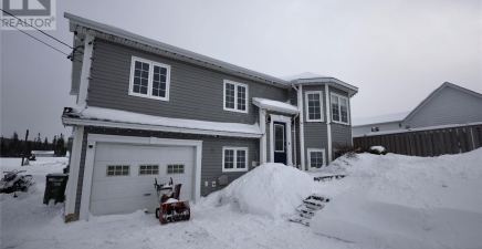 15 Bellwood Drive, Massey Drive A2H7T4, Newfoundland & Labrador