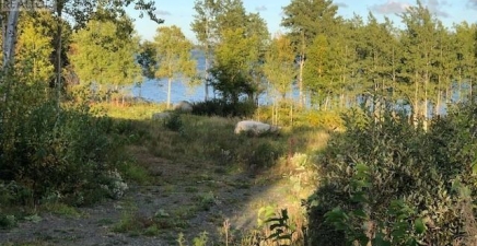 202 Comfort Cove Road, Comfort Cove A0G3A0, Newfoundland & Labrador