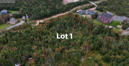 0 Beaver Pond Road Unit#Lot 1, Cape Broyle A0A1P0, Newfoundland & Labrador