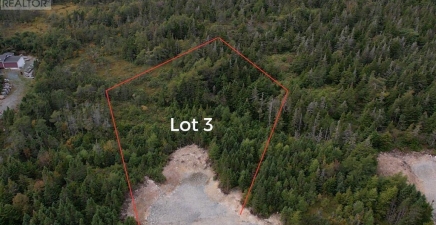 0 Beaver Pond Road Unit#Lot 3, Cape Broyle A0A1P0, Newfoundland & Labrador