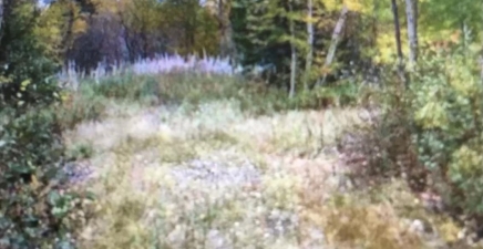 260A Main Street, Embree A0G2B0, Newfoundland & Labrador