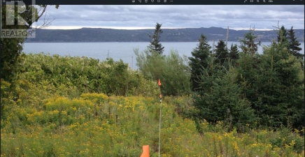 4 Cemetery Hill, Bell Island A0A4H0, Newfoundland & Labrador