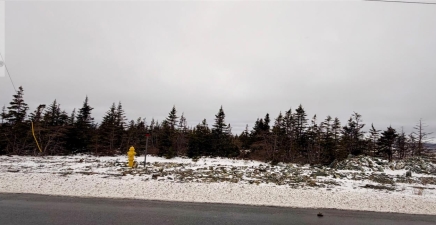 50 Beaumont Hamel Way, St. John`s A1E1R3, Newfoundland & Labrador