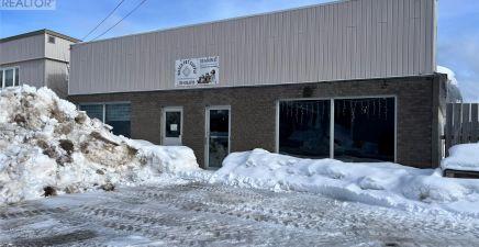 119 Main Street, Springdale A0J1T0, Newfoundland & Labrador
