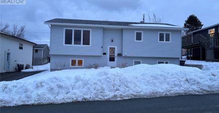 9 Jill Drive, Conception Bay South A1X7H4, Newfoundland & Labrador