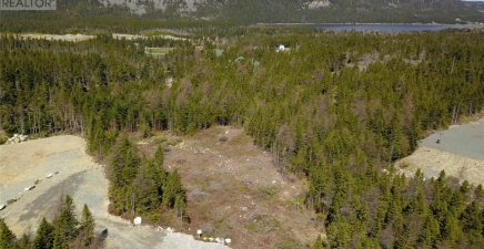 Lot 4 Hutton Road, South River A0A3W0, Newfoundland & Labrador