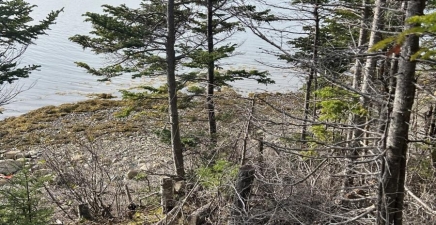 Lot #2, Route 232 Smith Sound Road, Harcourt A5A3A1, Newfoundland & Labrador