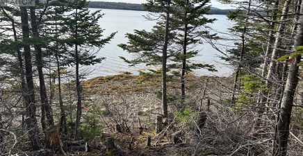 Lot # 03 SMITH SOUND Road, Harcourt A5A3A1, Newfoundland & Labrador