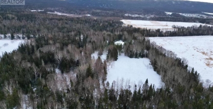 97 C Main Street, Pasadena A0L1K0, Newfoundland & Labrador