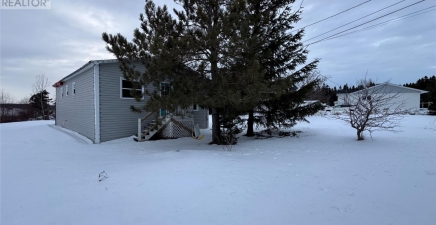 7 Spruce Lane, Birchy Bay A0G1E0, Newfoundland & Labrador