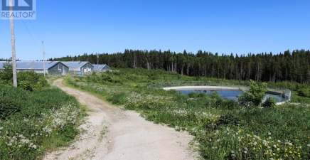 43-47 Birch Avenue, Cormack A8A2M3, Newfoundland & Labrador