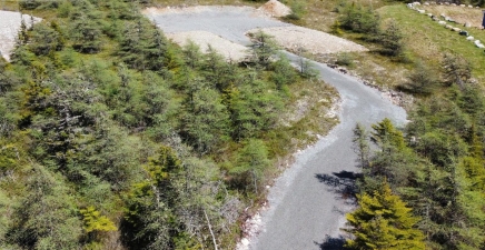 14 Rhodies Pond Grove, Placentia Junction A0B3K0, Newfoundland & Labrador