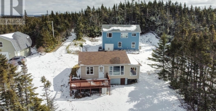 58 Pioneer Line, Salmonier A0A2R0, Newfoundland & Labrador