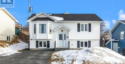 19 Castors Drive, Mount Pearl A1N4Y6, Newfoundland & Labrador