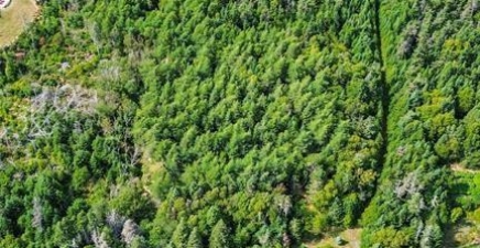 582-594 Indian Meal Line, Torbay A1K1G5, Newfoundland & Labrador