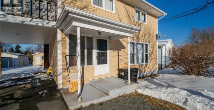 22 Wicklow Street, St. John`s A1B3H2, Newfoundland & Labrador