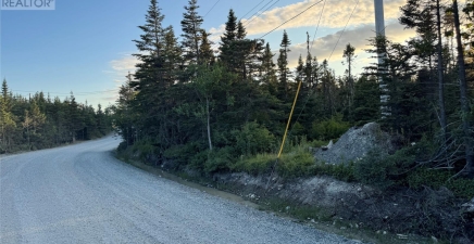 69 Whalens Pond Road, Brigus Junction A0B1G0, Newfoundland & Labrador
