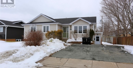 17 Bavidge Street, St. John`s A1A5B9, Newfoundland & Labrador