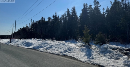 329 Old Pennywell Road, St. John`s A1B1A8, Newfoundland & Labrador