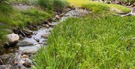 181-535 Fox Harbour Road, Placentia A0B1S0, Newfoundland & Labrador