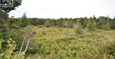 308-310 Anchorage Road, Conception Bay South A1W4W3, Newfoundland & Labrador