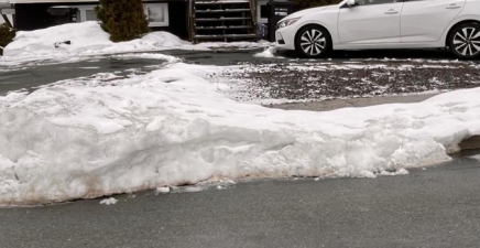 71 PERLIN Street, St. John`s A1E4B9, Newfoundland & Labrador