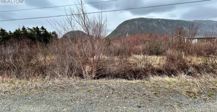 5 Harbourview Road, Lark Harbour A0L1H0, Newfoundland & Labrador