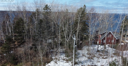 0 Comfort Cove-Newstead Highway, Campbellton A0G3K0, Newfoundland & Labrador