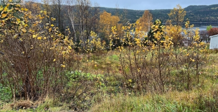 6 Diagonal Road, Baie Verte A0K1B0, Newfoundland & Labrador